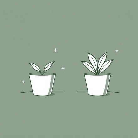 Photo of Plant pots x 2 (Victoria Park M14) #1