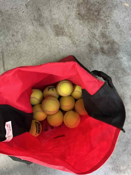 Photo of free Tennis Balls (Moutain View near San Antonio) #1