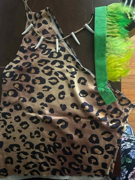 Photo of free Flinstones necklace and top (Alameda) #2