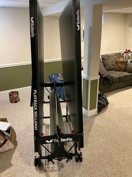 Photo of free Folding Ping Pong Table (Off Route 66 near Winchester) #1