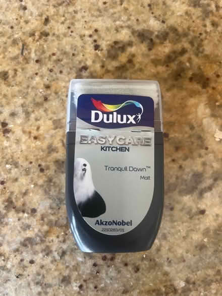 Photo of free Dulux Tranquil Dawn tester pot (Killinghall HG3) #1