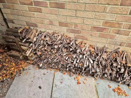Photo of free Large Stack of Seasoned Firewood (Purley on Thames RG8) #2