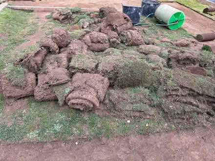 Photo of free Turf (Freeland OX29) #1