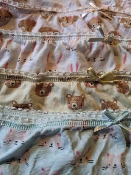 Photo of free Girls knickers age 5-6 (Staplehurst TN12) #3