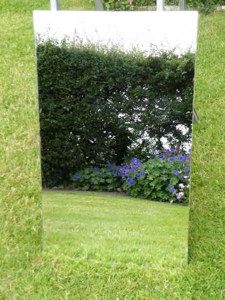 Photo of free Unframed Wall Mirror (Ellerdine Heath TF9) #1