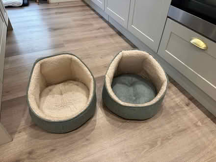 Photo of free 2 x cat / kitten / puppy beds (Nash Mills, HP3) #1