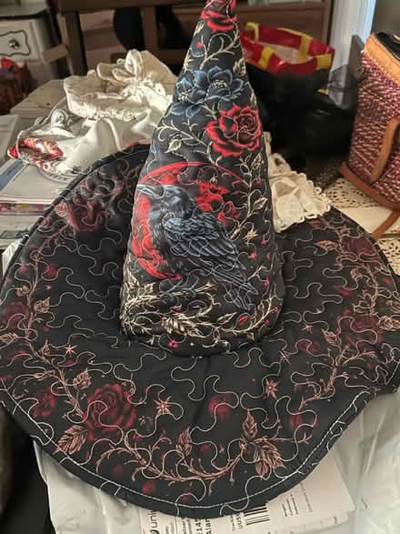 Photo of free Witch hat - new (Alameda) #1