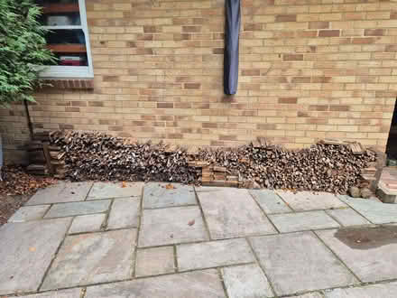 Photo of free Large Stack of Seasoned Firewood (Purley on Thames RG8) #1
