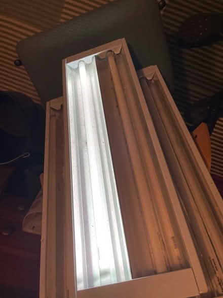 Photo of free 2 Envirogrow Fluorescent Plant Growing Lights (Ramsgate CT11) #4