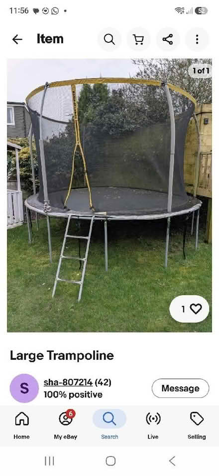 Photo of Big trampoline with netting (Polegate BN26) #1