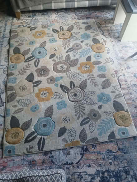 Photo of free Rug (Spalding PE11) #1