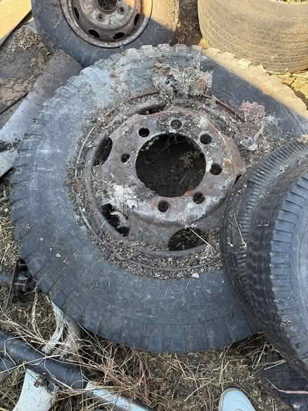 Photo of free wheels rims truck (Hayward) #2