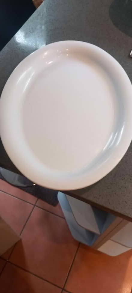 Photo of free 2 white plastic trays (Winchmore Hill N21) #1