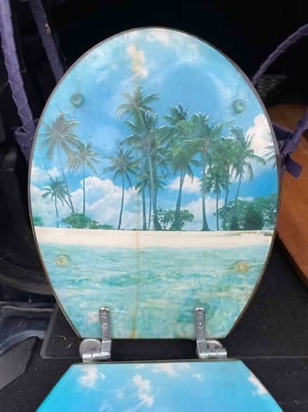 Photo of free Novelty toilet seat (St Albans AL3) #2