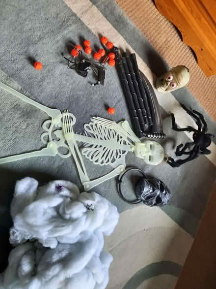 Photo of free Spooky Halloween items (Northcourt OX14) #1