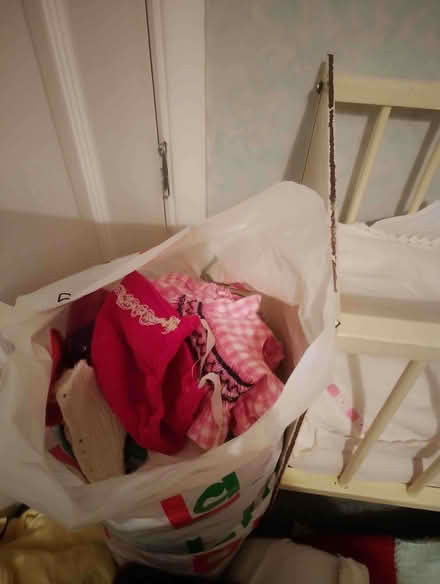Photo of free Dolls, Cot and clothes (Billericay CM4) #3