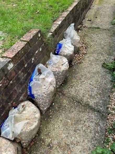 Photo of free Beach Pebbles (Balcombe RH17) #1