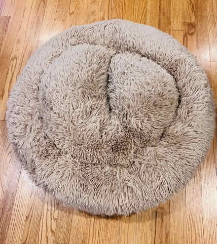 Photo of free Dog Bed (Maywood) #1