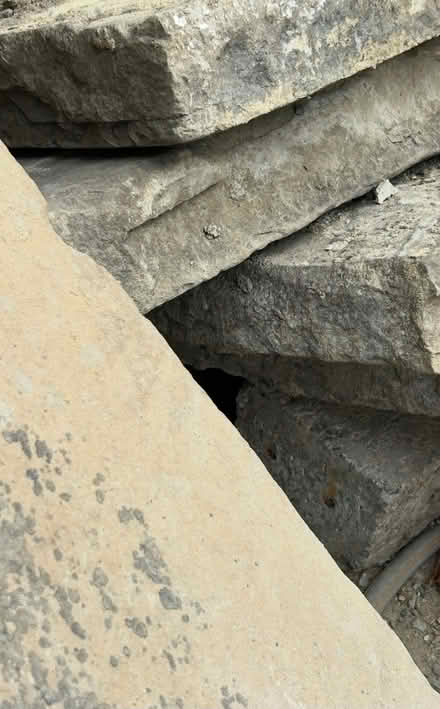 Photo of free Paving slabs (Norbiton KT2) #4