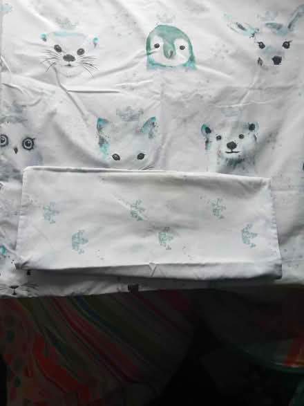 Photo of free Single Duvet cover and pillowcase (Ivybridge PL21) #1