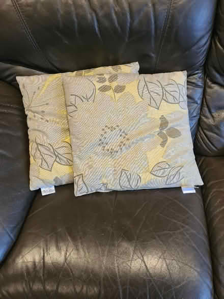 Photo of free Cushions (Netherfield, Kendal LA9) #1