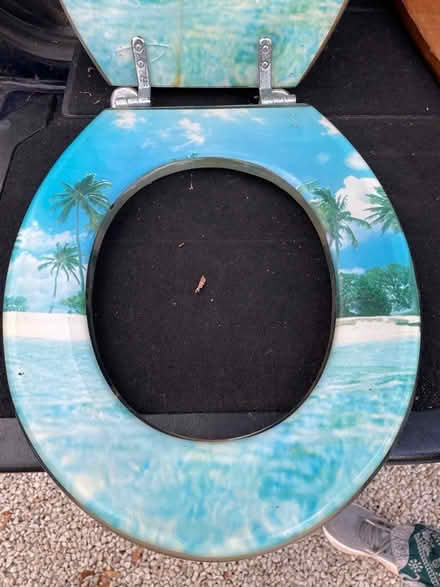 Photo of free Novelty toilet seat (St Albans AL3) #3