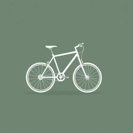 Photo of broken or unloved mountain bike (Roche PL26) #1
