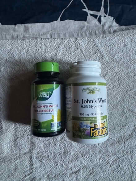 Photo of free St John’s Wort (Bloor and Dufferin) #1
