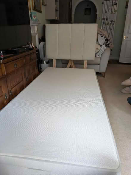 Photo of free Single bed. No mattress (Binfield RG42) #1