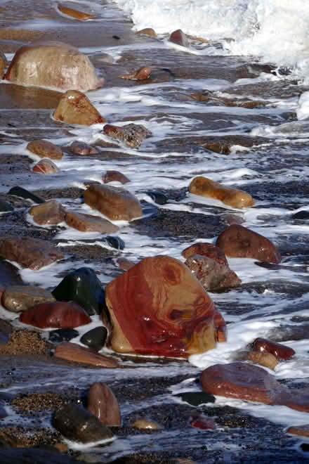 Photo of free One-off photo print - Dorset Beach (Oakington CB24) #1
