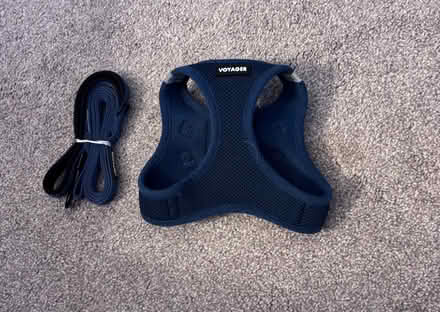 Photo of free Pet harnesses and slow feeder (Wilmington) #1