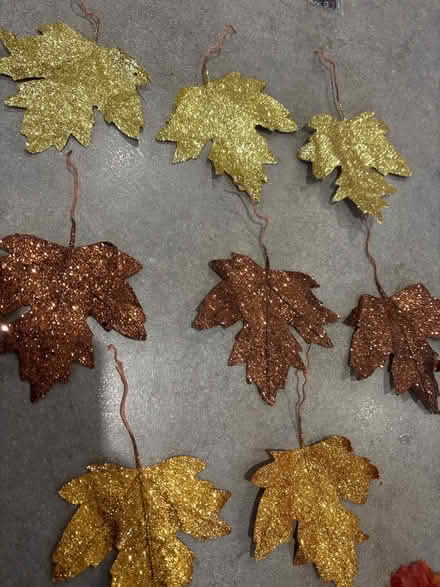 Photo of free Craft bits (Mickleover DE3) #3