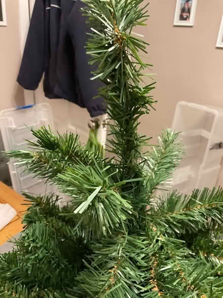 Photo of free Christmas tree (BD19 Cleckheaton) #3