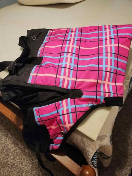 Photo of free Shetland pony size coats (Hampton CT, near General Store) #1