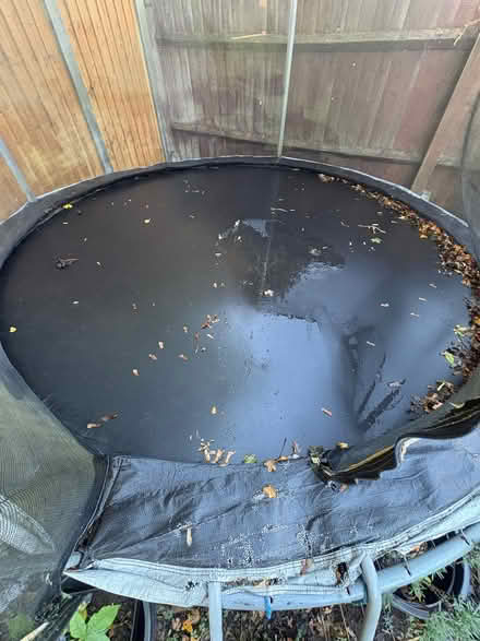 Photo of free Garden Trampoline and ladder (White Hills NN2) #2
