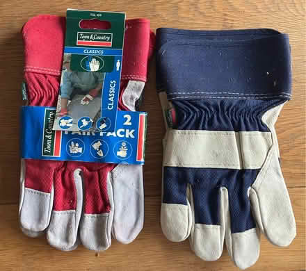 Photo of free Work Gloves (Princes Risborough HP27) #1