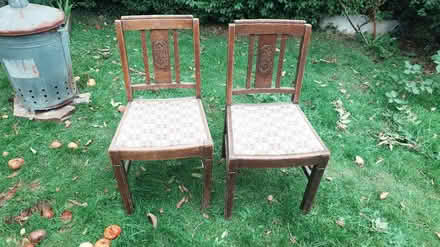 Photo of free 2 old dining chairs (Stockport SK2) #1
