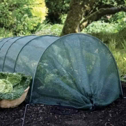 Photo of free Two net tunnels to protect plants (Kensington) #1