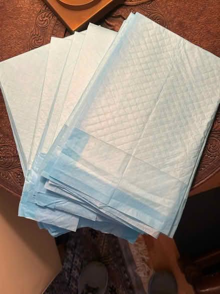 Photo of free "Pee Pads" for dogs (Old Ottawa South) #1