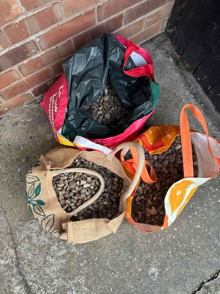 Photo of free Pebbles (Radford NG8) #3