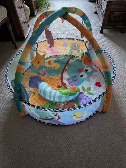 Photo of free Baby Play Gym (Chappel CO6) #2
