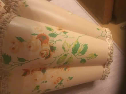 Photo of free Vintage light shade (B62 near Blackheath) #3