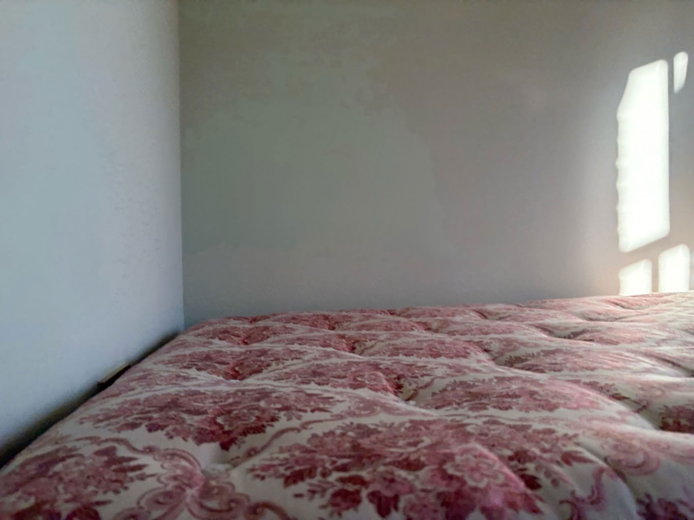 Free: Double bed (Frant TN3) - Crowborough Freegle