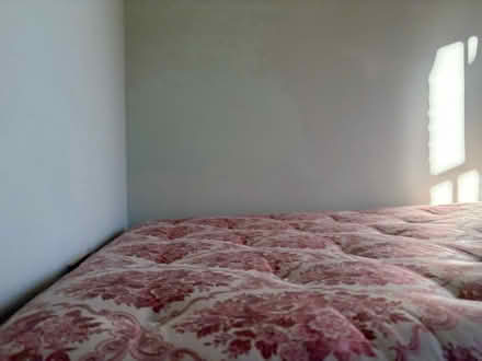 Photo of free Double bed (Frant TN3) #4