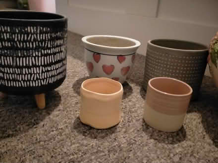 Photo of free Several plants, plant pots, propagation jars (Sudden OL11) #2