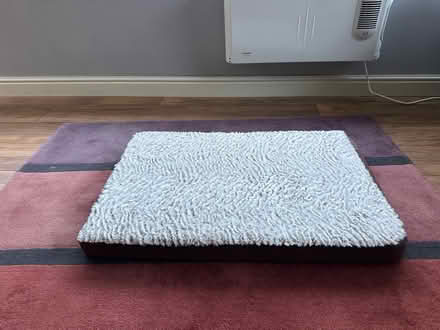 Photo of free Dog bed (darwen BB3) #1
