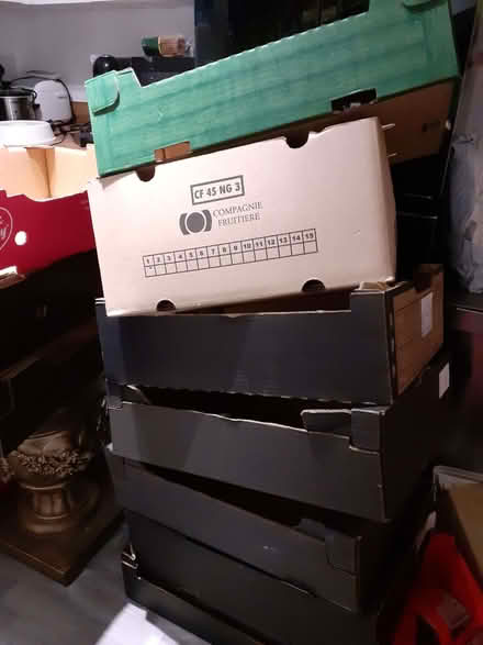 Photo of free 9 cardboard crates (Trowse NR14) #1