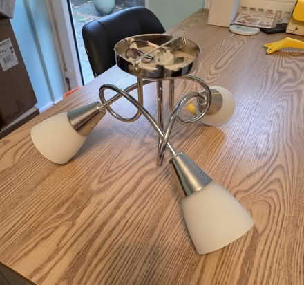 Photo of free Ceiling light (Horsham RH12) #1