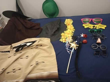 Photo of free Dog Bed & Costume accessories (55th & Main) #2