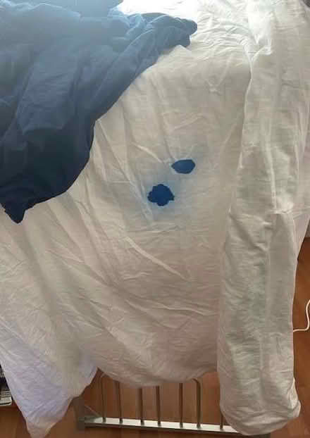 Photo of free Single duvet (4.5 tog) plus cover & pillow case (Upper Kinneil Farm EH51) #1